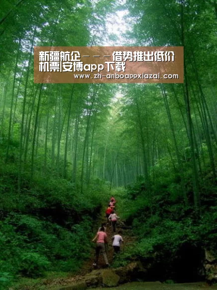 新疆航企---借势推出低价机票|安博app下载(图4) 安博app下载