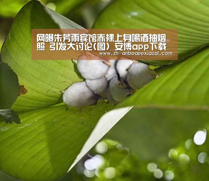 网曝朱芳雨宾馆赤裸上身喝酒抽烟照 引发大讨论(图)_安博app下载