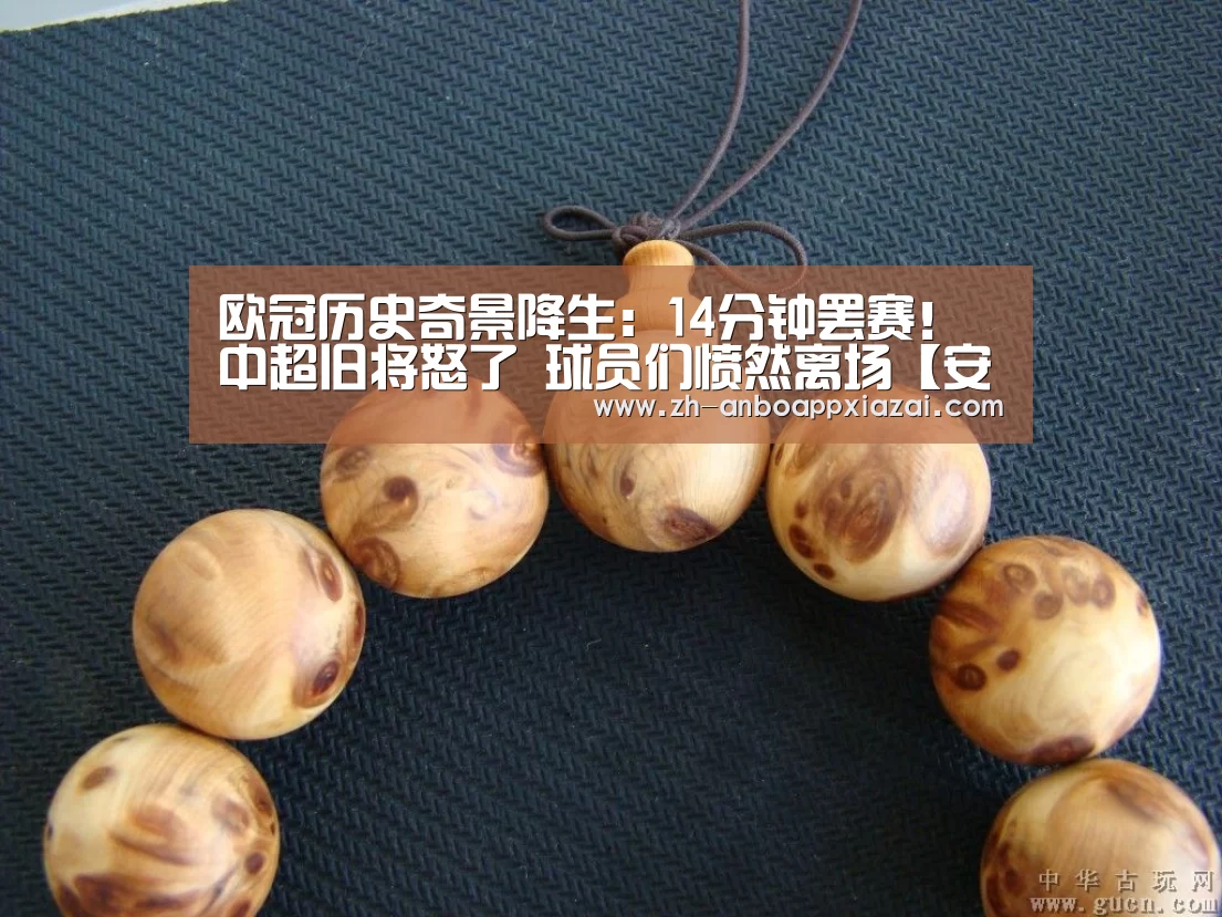 
欧冠历史奇景降生：14分钟罢赛！中超旧将怒了 球员们愤然离场【安博app下载】