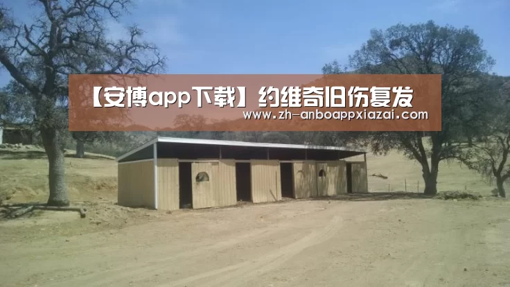 安博app下载